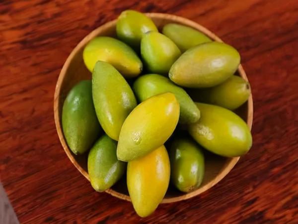 失眠多夢易心慌?巧煮安神老鴨湯,滋陰補虛又助眠 失眠多夢易心慌?巧煮安神老鴨湯,滋陰補虛又助眠