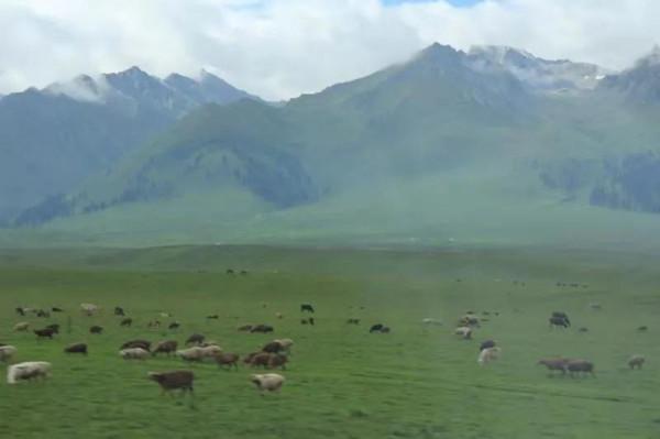 新疆自駕遊25天—3