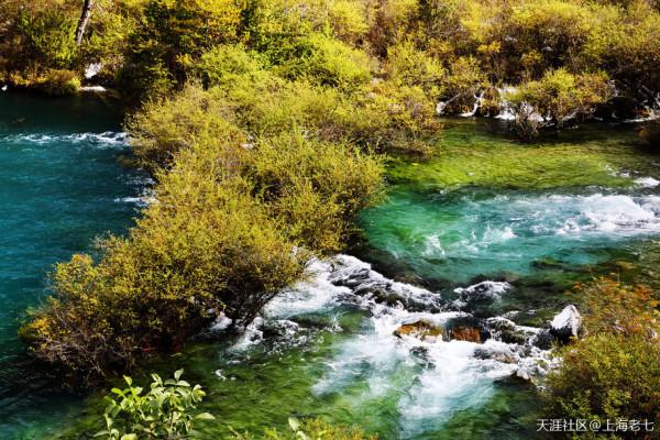 別人的生活:退休了 開始自駕遊 別人的生活:退休了 開始自駕遊