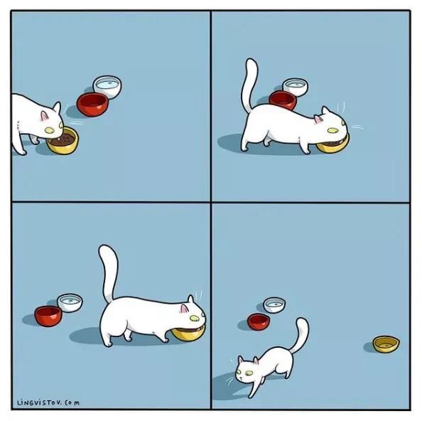 人間真實！藝術家筆下“貓主子”的日常