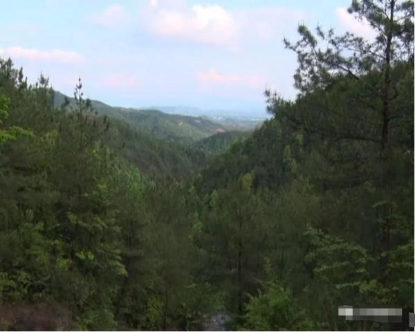 貢江夜讀：一個失散女紅軍的悲喜人生