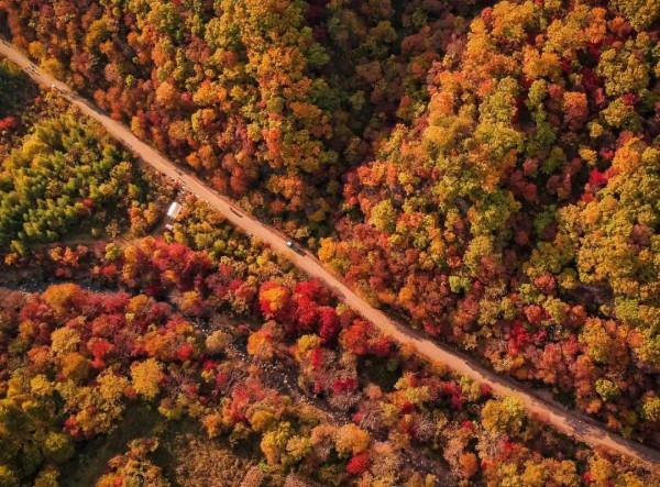 全國最美秋色即將陸續上線,你準備好去哪兒獵豔了嗎? 全國最美秋色即將陸續上線,你準備好去哪兒獵豔了嗎?