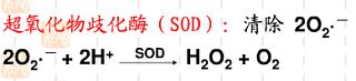 酶類及超氧化物歧化酶(SOD)在化妝品中應用和安全性評價 酶類及超氧化物歧化酶(SOD)在化妝品中應用和安全性評價