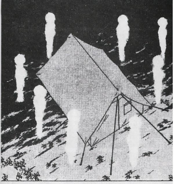 漫畫：愛貓死而復活，卻是借屍還魂，背後的原因讓少女恐懼