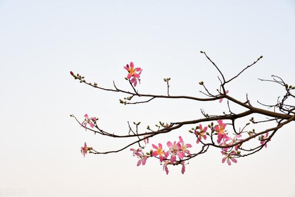 欠了很多錢，這輩子可能都還不清了，該怎麼辦？