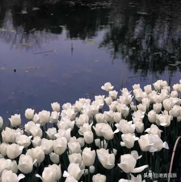 2022年的國內遊市場，可能沒有我們想的那麼糟糕