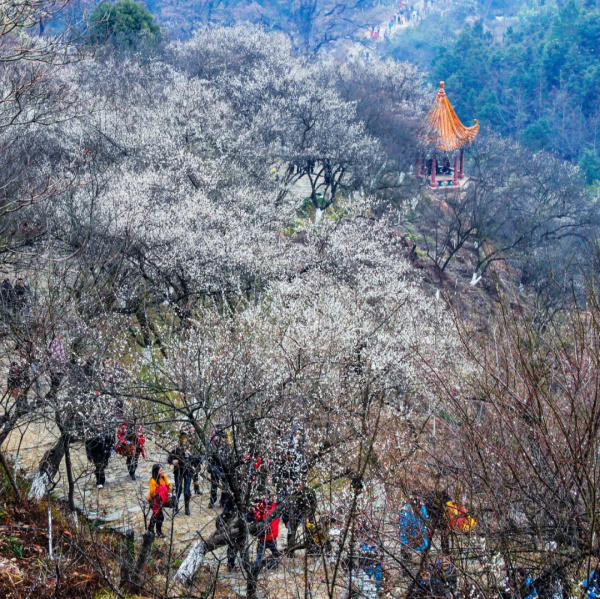 湞凌潮 │千年梅關道 百世珠璣情