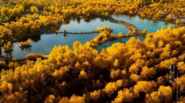 國內6條超驚豔的自駕路線，橫跨東西南北，一路風景賞心悅目