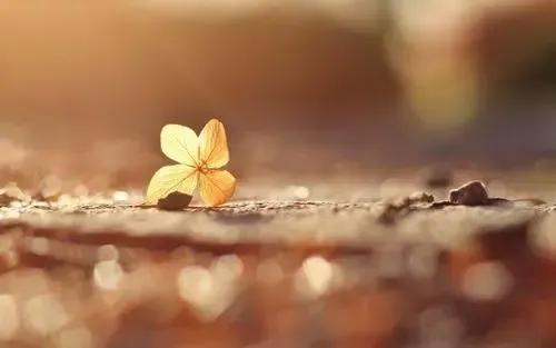 我們終於還是，沒能成為更好的自己