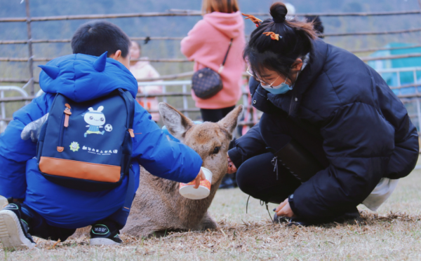 多圖預警｜鹿島公園&amp;趣玩萌寵節今日盛大開放