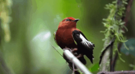 38張圖看奇妙世界,美國女穿出驚人解剖風,烏克蘭紅綠燈令人羨慕 38張圖看奇妙世界,美國女穿出驚人解剖風,烏克蘭紅綠燈令人羨慕