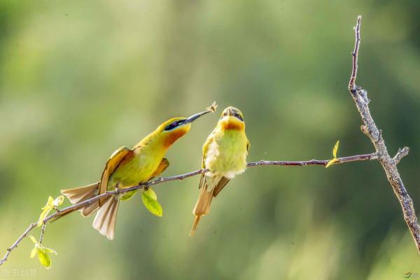 每日一讀，有益身心（100）