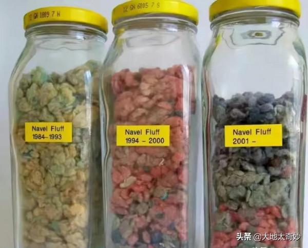 “活久見”的吉尼斯世界紀錄，你知道幾個？