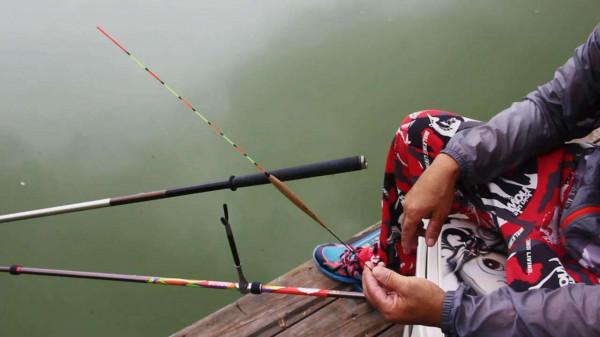 冬釣調漂兩個壞習慣，讓你的漁獲不知不覺少三成