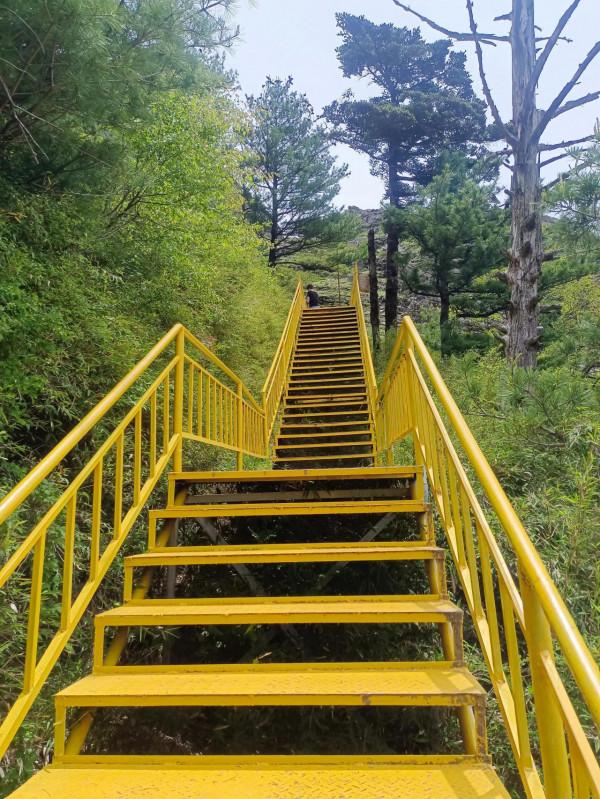 秦嶺深處的高山草甸，朱雀森林公園