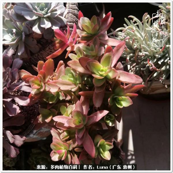 學會和解:與自己、與他人、與世界 學會和解:與自己、與他人、與世界