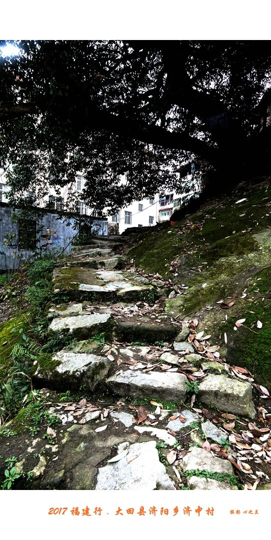 山海畫廊人間福地（229）——大田濟陽村（四）