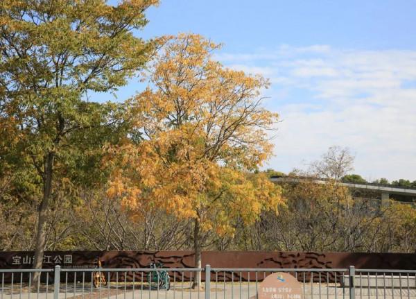 酒莊紅、萱草黃&hellip;&hellip;原來今年的秋冬流行色都在寶山這些公園裡&srarr;