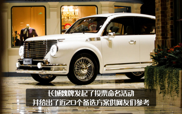 不止有大狗好貓,WEY復古車型投票徵名,這次或許叫“圓夢”? 不止有大狗好貓,WEY復古車型投票徵名,這次或許叫“圓夢”?