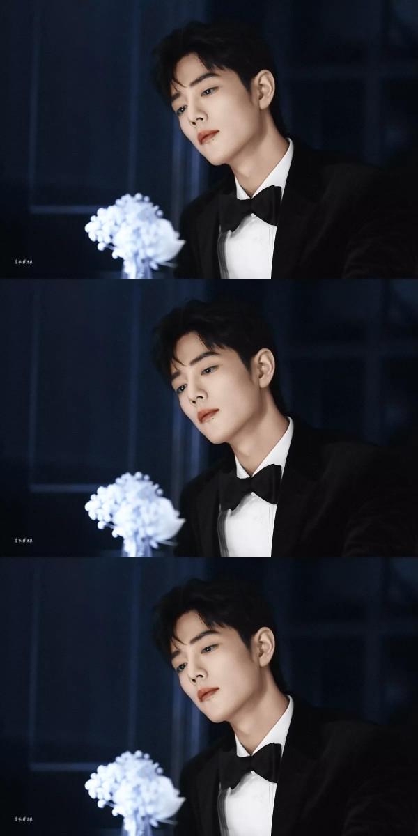 肖戰拉夫勞倫 高畫質桌布