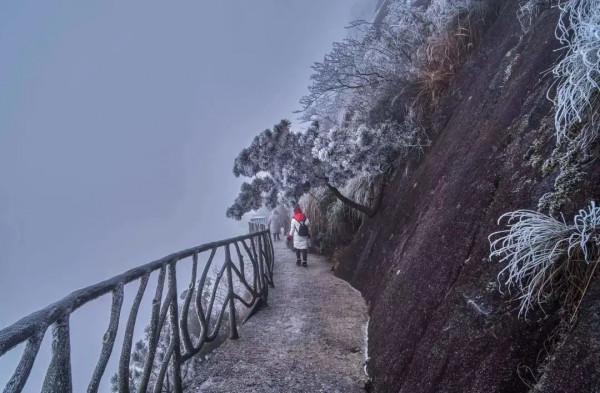 絕美！寒潮催生靈山“凍人美景”！快來打卡冬日的醉美景色吧