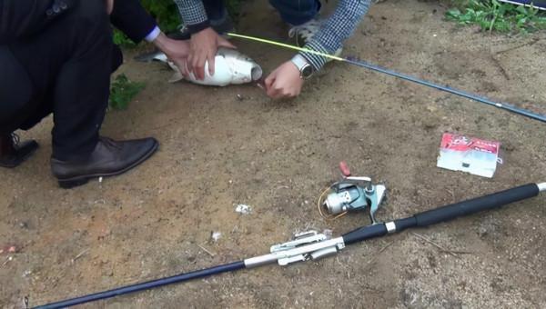 釣法彈簧釣你知多少，簡單易學，一人可釣多竿輕鬆上魚