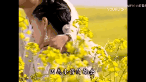 張柏芝公認男友遭娛樂圈封殺：一代絕色美男，為何淪落成這樣？