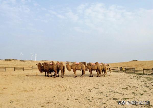 身處江南的江西，竟然還隱藏著這麼一大片沙漠