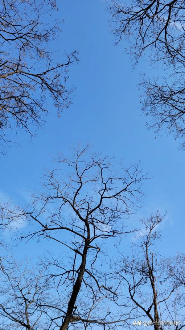 新年徒步，意外收穫，泰山雲海仙境