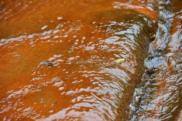 貴州習水:神奇丹霞谷 貴州習水:神奇丹霞谷