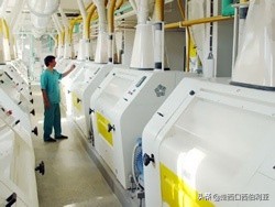 百年糧倉,守護百姓希望 百年糧倉,守護百姓希望