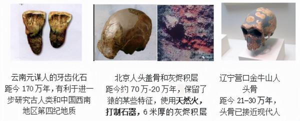 330萬年前的人類鼻祖，長得這個樣