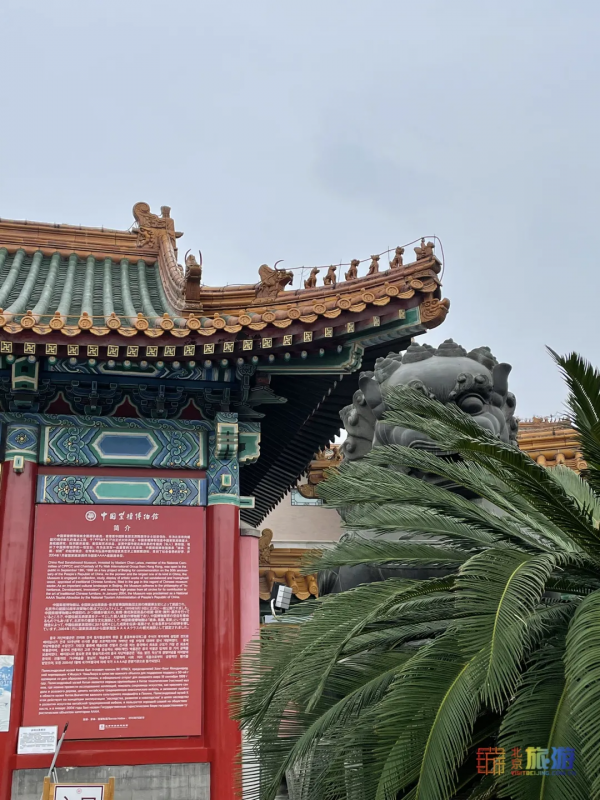 免費參觀!“唐僧”夫人耗資2億打造“小故宮”!太震撼了! 免費參觀!“唐僧”夫人耗資2億打造“小故宮”!太震撼了!