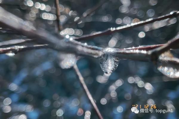 原來江南也有如此夢幻霧凇 原來江南也有如此夢幻霧凇