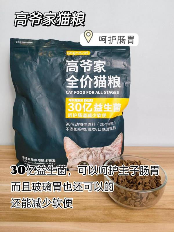 貓糧還能選錯！看這篇就懂了