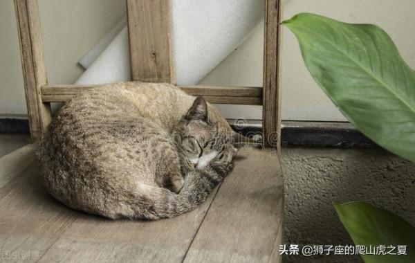 我一直是個很平庸的人，有社交恐懼症，有點自卑