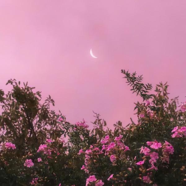 人生本過客，得失皆隨緣