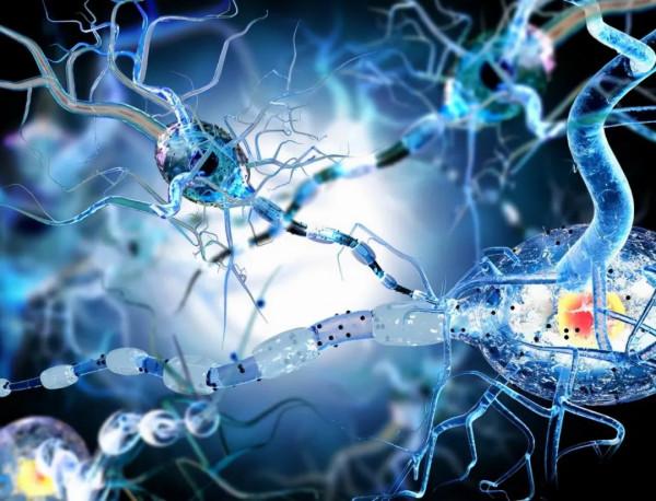 全球首個新冠口服藥物獲批!新冠病毒卻正在“吃掉”人類的大腦 全球首個新冠口服藥物獲批!新冠病毒卻正在“吃掉”人類的大腦