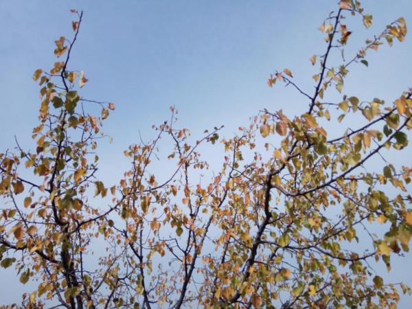 說走就走的金秋越野之旅