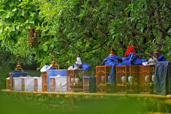 上海桂林公園,以前是青幫頭目三大亨之首,黃金榮的私人花園 上海桂林公園,以前是青幫頭目三大亨之首,黃金榮的私人花園