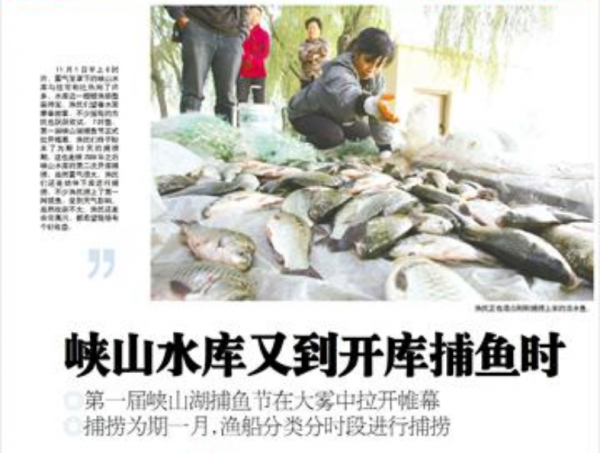 峽山水庫的困局：一年放魚4000萬尾，為何還是“治標不治本”？