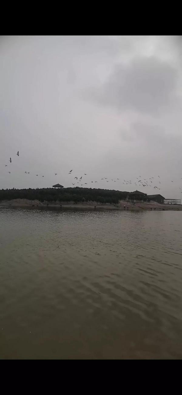 黃驊兩日遊之南大港溼地篇 黃驊兩日遊之南大港溼地篇