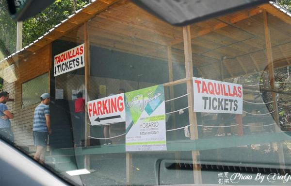 波多黎各之旅(四)遊風洞(CuevaVentana)奇遇世外桃源 波多黎各之旅(四)遊風洞(CuevaVentana)奇遇世外桃源