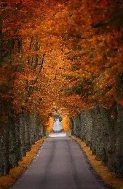 特別漂亮的路風景分享