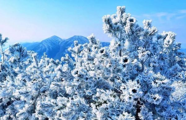 七星關&quot;一夜封神&quot;