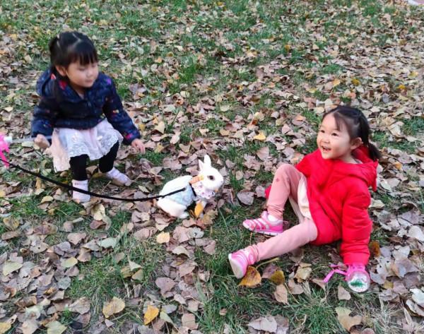 美目盼兮小精靈，疑為玉兔下凡間