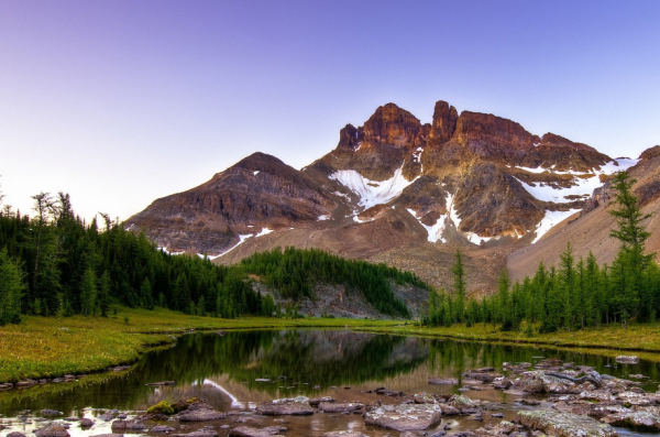 手段再強，也壓制不住的星座，他們習慣了獨來獨往，也享受著孤獨