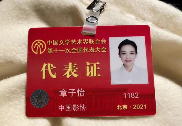 文代會閉幕章子怡才是大贏家!一露面就搶風頭,美成“一枝花” 文代會閉幕章子怡才是大贏家!一露面就搶風頭,美成“一枝花”