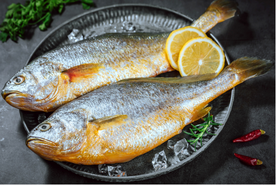 買魚時,懂行的人專買“這5種海魚”,無法人工養殖,看完長知識 買魚時,懂行的人專買“這5種海魚”,無法人工養殖,看完長知識