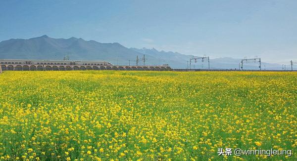 「17天愛上大西北」一天內橫跨四市,飢疲力竭 「17天愛上大西北」一天內橫跨四市,飢疲力竭